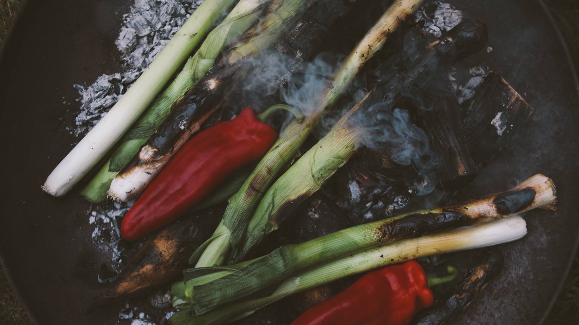 Bike 'n (camp)fire - diner