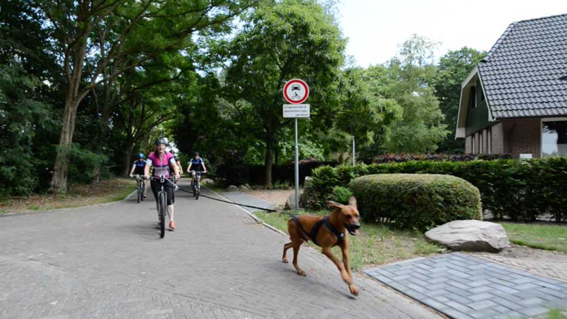 Fietsen met je hond